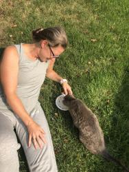 Reunited Female Cat last seen Wayland Ave and Bensalem Boulevard Bensalem, Bensalem, PA 19020