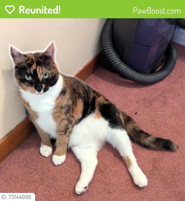 Reunited Female Cat last seen Smokey Drive Elementary School, Lower Sackville, NS 