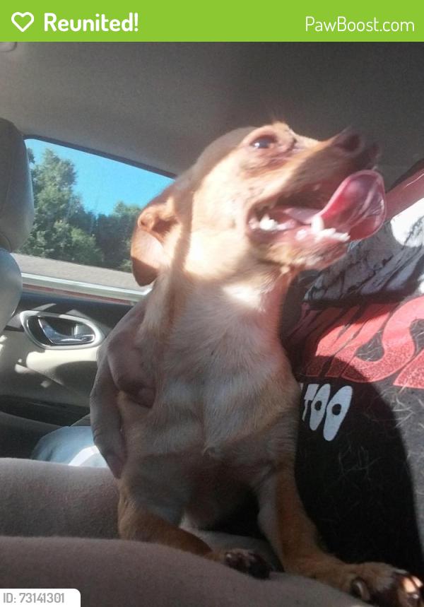 Reunited Male Dog last seen Tom thumb, Pensacola, FL 32526