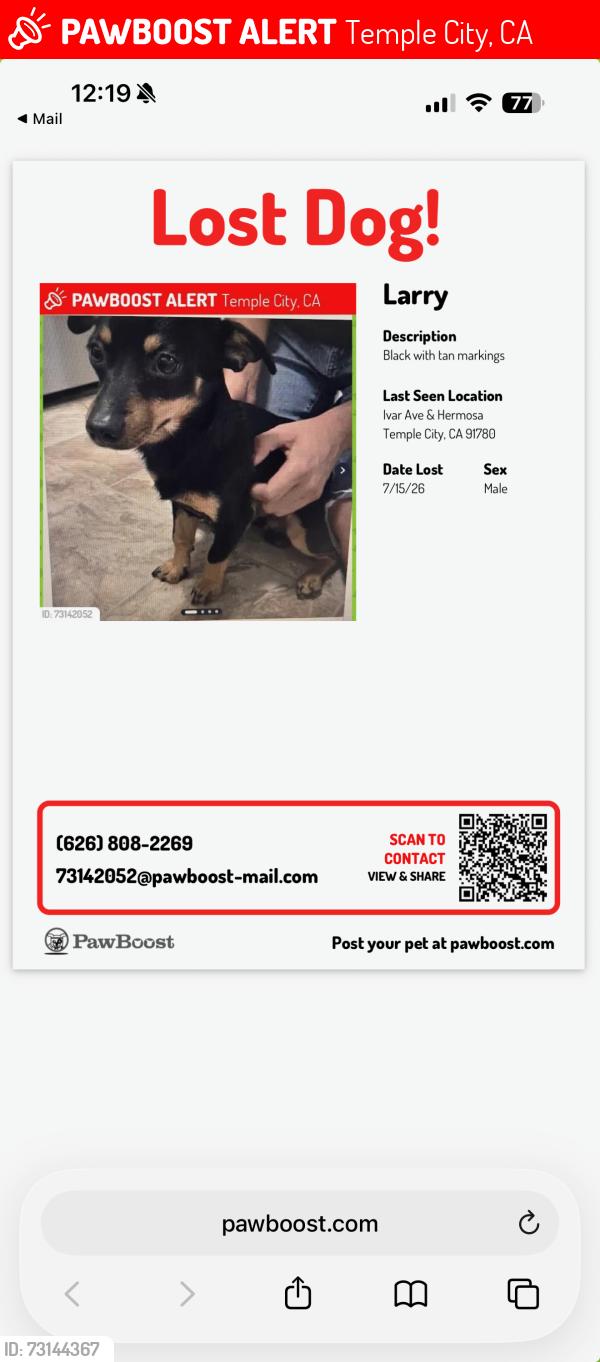 Lost Male Dog last seen Hermosa and Ivar, Temple City, CA 91780