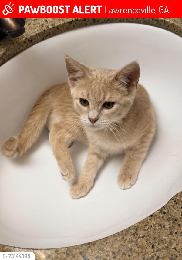 Lost Female Cat last seen New Hope Road, Lawrenceville, GA 30045