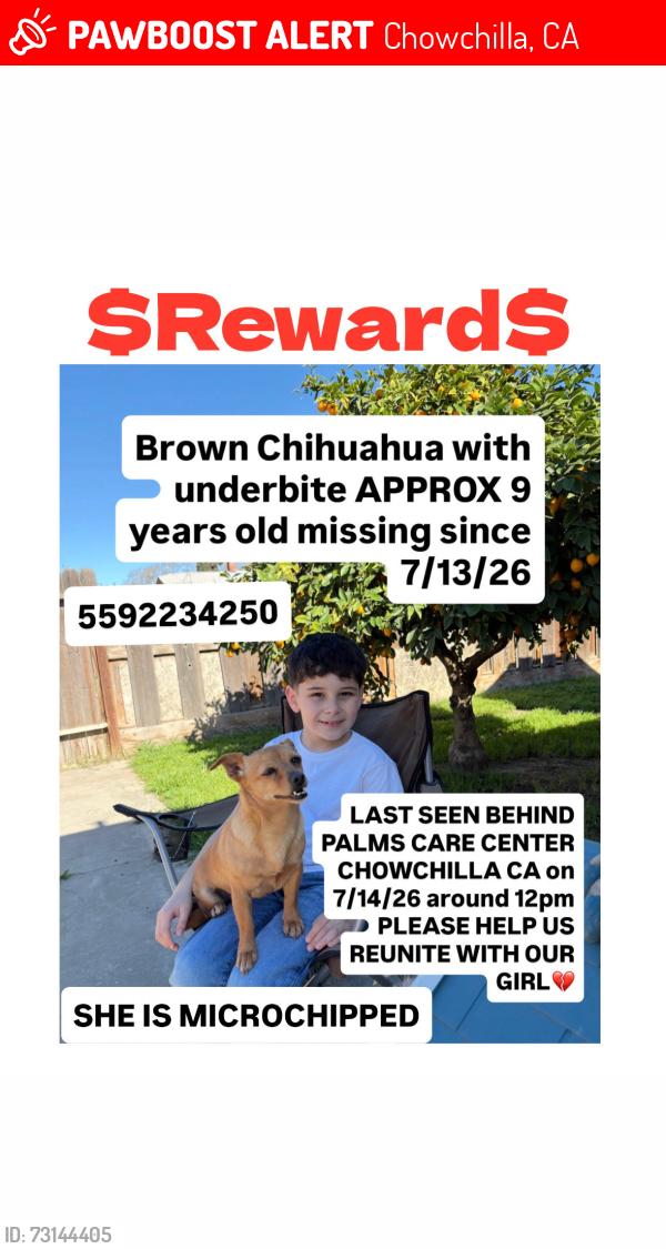 Lost Female Dog last seen Gill way, Chowchilla, CA 93610