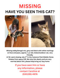 Lost Male Cat last seen Birch court, Cameron Park, CA 95682
