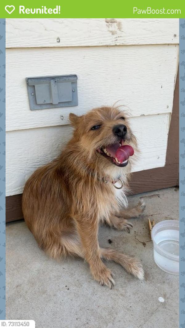 Reunited Unknown Dog last seen Garst St and University near West Walmart, Wichita, KS 67209