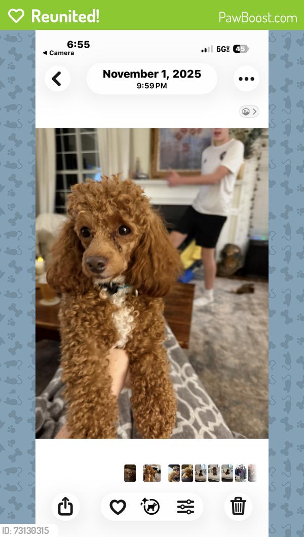 Reunited Male Dog last seen Logan’s mill neighbors, Chesapeake, VA 23320