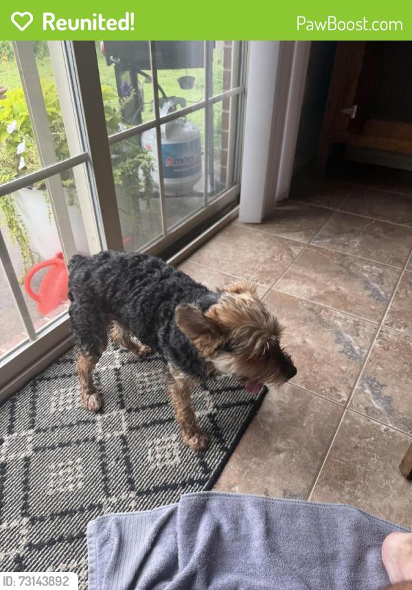 Reunited Male Dog last seen Indian Oaks Dr, Fayetteville , AR, Fayetteville, AR 72704