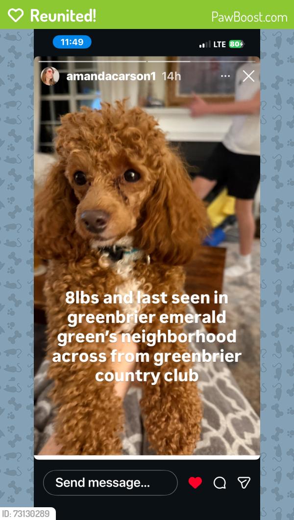 Reunited Male Dog last seen Shepard Gate and Logan Mills Road, Chesapeake, VA 23320
