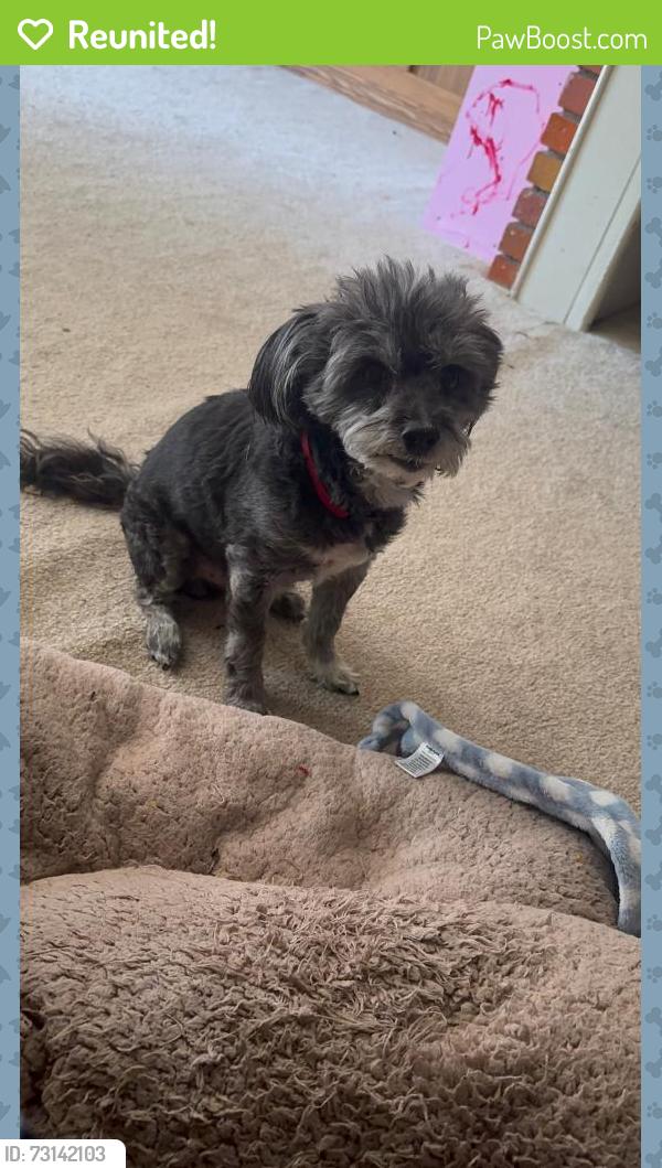 Reunited Male Dog last seen NW 23rd and Donald, Oklahoma City, OK 73127