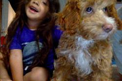 Lost Male Dog last seen J brown rd, Salisbury, nc, Salisbury, NC 28146