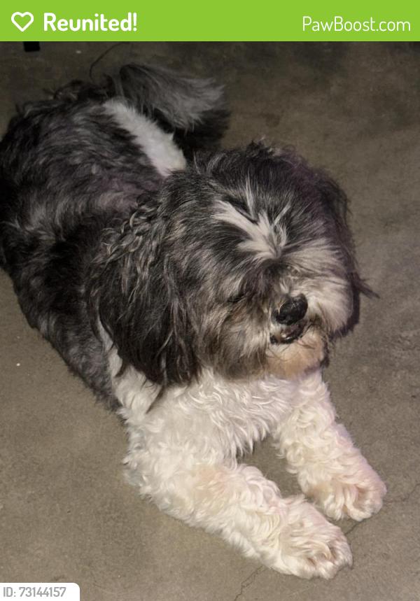Reunited Unknown Dog last seen SW 102nd & Ranchwood Manor Dr, Oklahoma City, OK 73139
