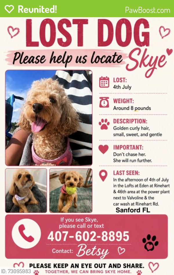 Reunited Female Dog last seen Rinehart Rd & 46th, Sanford, FL 32771