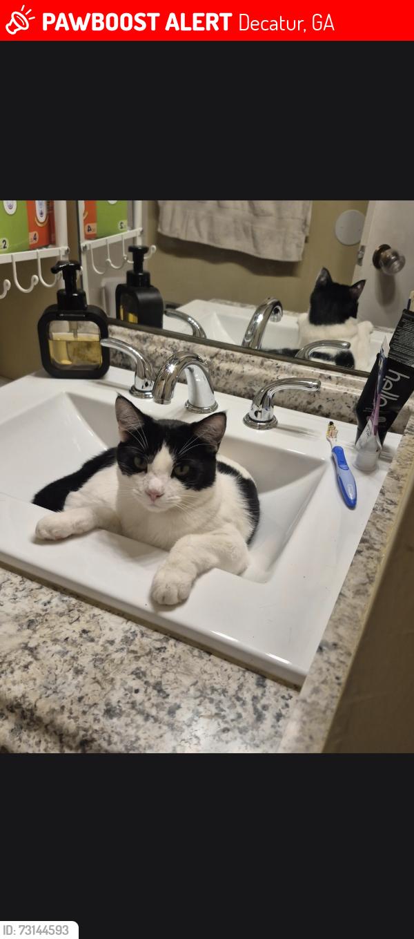 Lost Male Cat last seen Peachcrest, Decatur, GA 30032