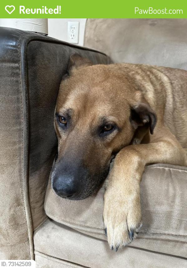 Reunited Male Dog last seen Willow Glen, San Jose, CA 95126