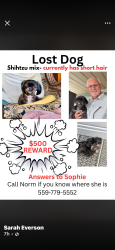 Lost Female Dog last seen Brawley , Bullard / Mark, Fresno, CA 93722