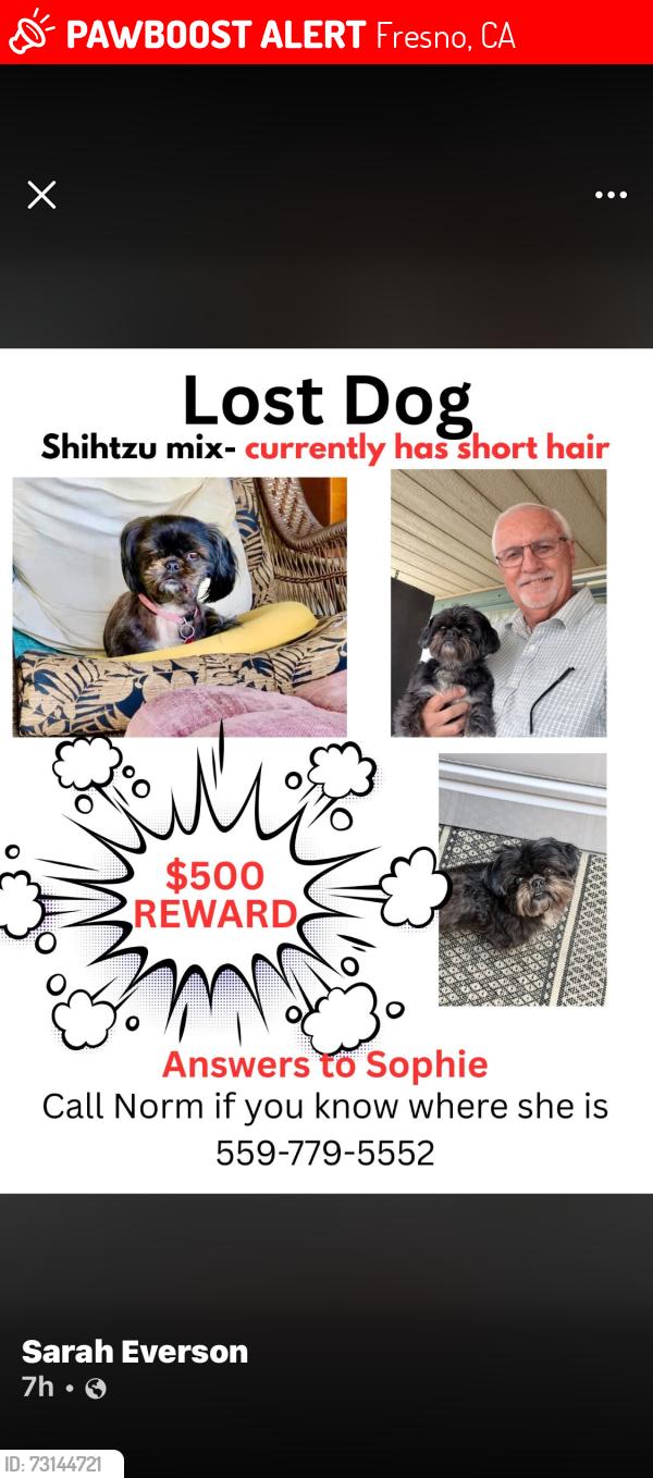Lost Female Dog last seen Brawley , Bullard / Mark, Fresno, CA 93722