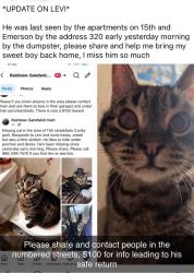 Lost Male Cat last seen 15th and Emerson, Idaho Falls, ID 83404