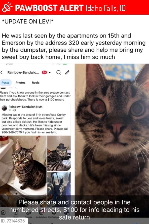 Lost Male Cat last seen 15th and Emerson, Idaho Falls, ID 83404