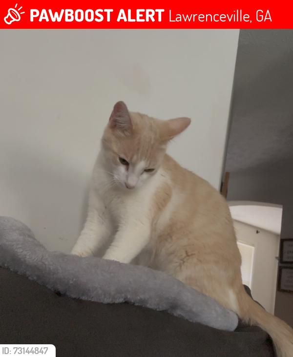 Lost Male Cat last seen Davis Rd near Gwinnett County Fairgrounds, Lawrenceville, GA 30046