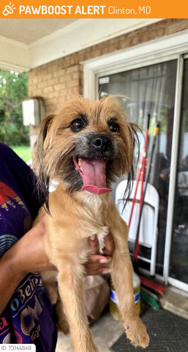Found/Stray Male Dog last seen Groveton Dr near PGPD., Clinton, MD 20735