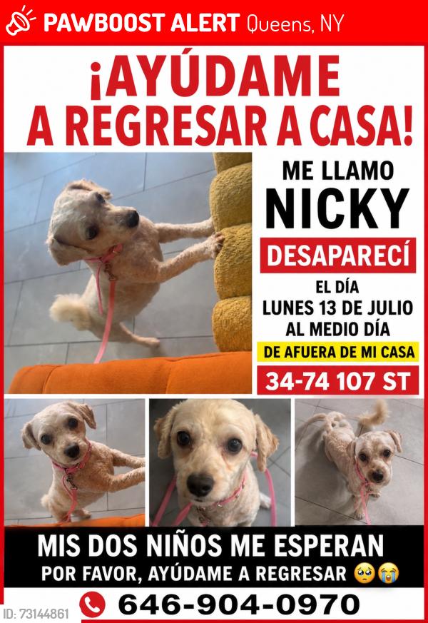 Lost Female Dog last seen 34-74 107st, Queens, NY 11368