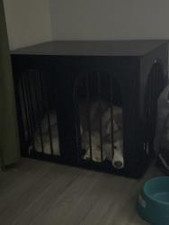 Reunited Male Dog last seen Near Roswell rd, Atlanta, GA 30328
