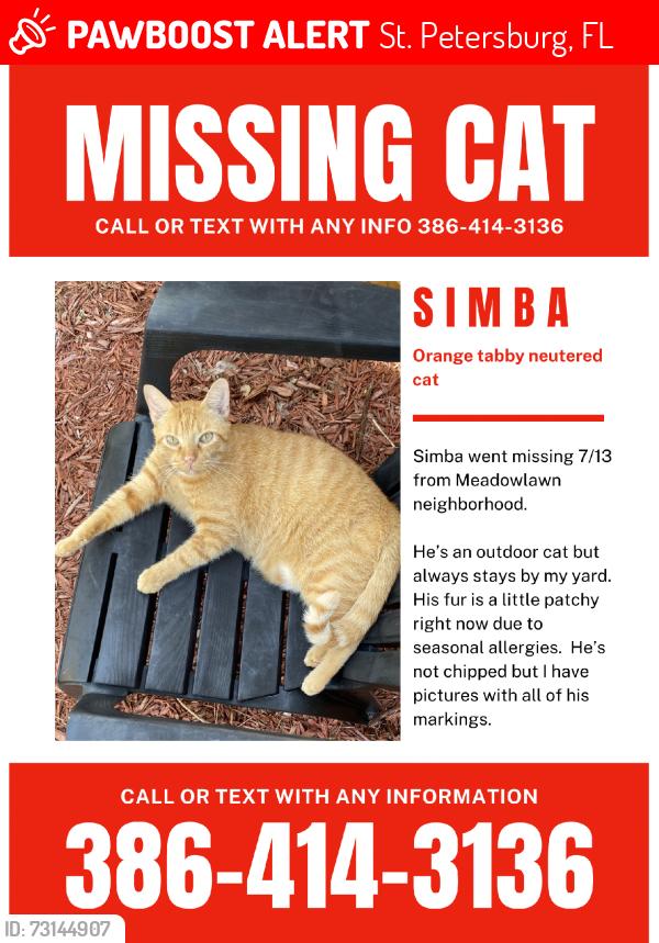 Lost Male Cat last seen 62nd and 12th st N. Meadowlawn neighborhood, St. Petersburg, FL 33714