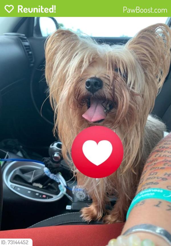 Reunited Female Dog last seen Penelope and Ave C South, Belton, TX 76513