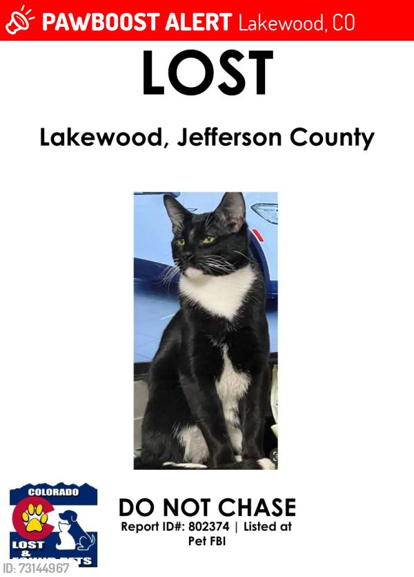 Lost Male Cat last seen Wadsworth Jewell, Lakewood, CO 80232
