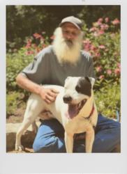 Lost Female Dog last seen E.William Cannon and Pleasant valley c mart, Austin, TX 78744