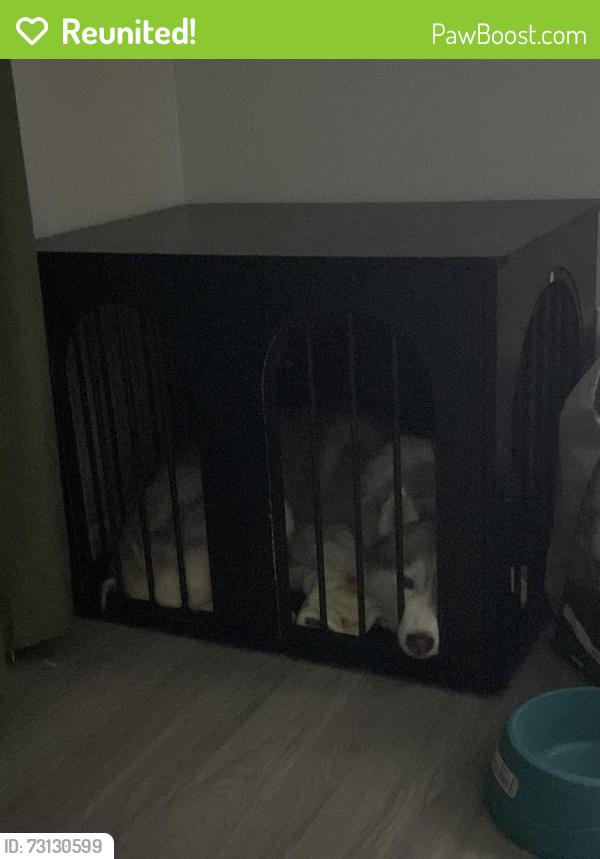 Reunited Male Dog last seen Near Roswell rd, Atlanta, GA 30328