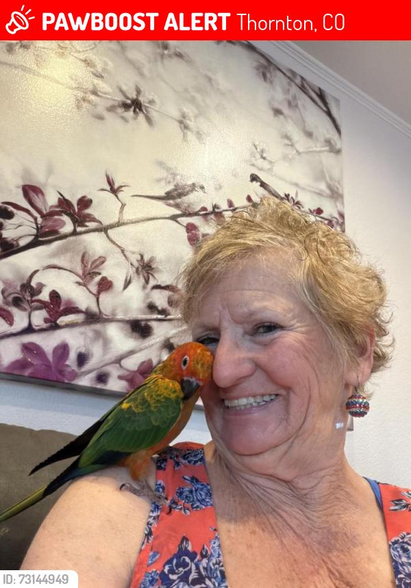 Lost Male Bird last seen Thornton Parkway & Downing Street, Thornton, CO 80229