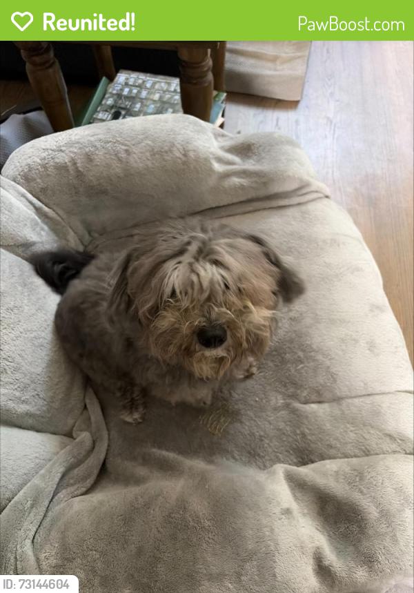 Reunited Unknown Dog last seen Waterside Neighborhood, Alpharetta, GA 30004