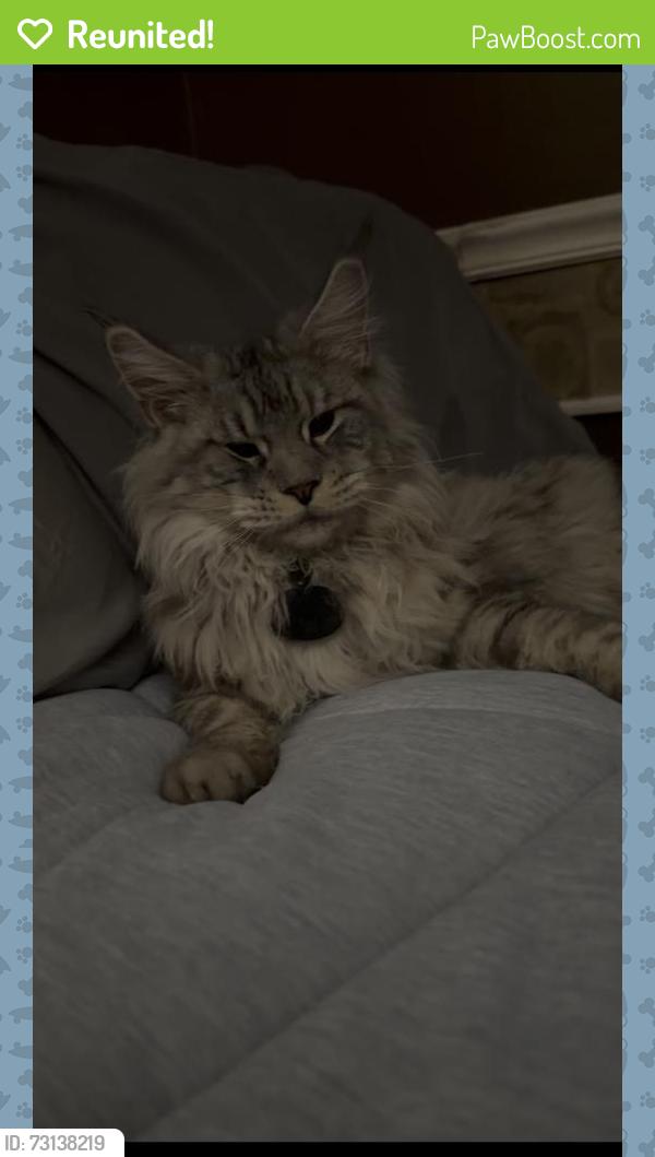 Reunited Male Cat last seen Cosmic way, Fremont, CA 94538
