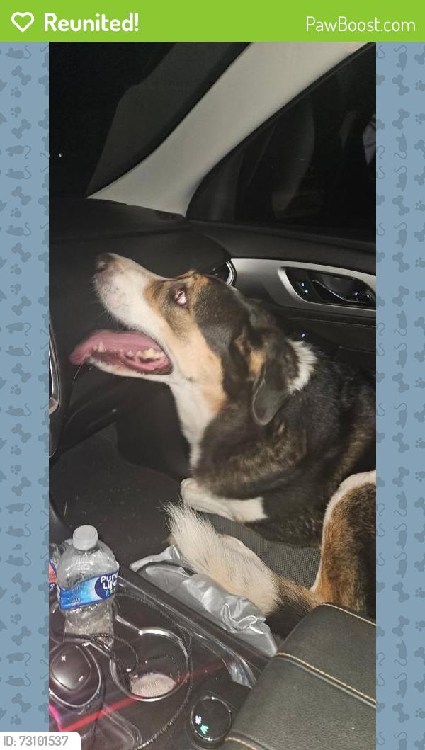 Reunited Female Dog last seen 134th and Western, Oklahoma City, OK 73170