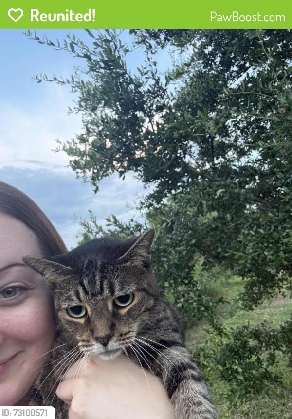Reunited Female Cat last seen Merchants Way & Crosshill Blvd, Near Oakleaf Towncenter, Jacksonville, FL 32222