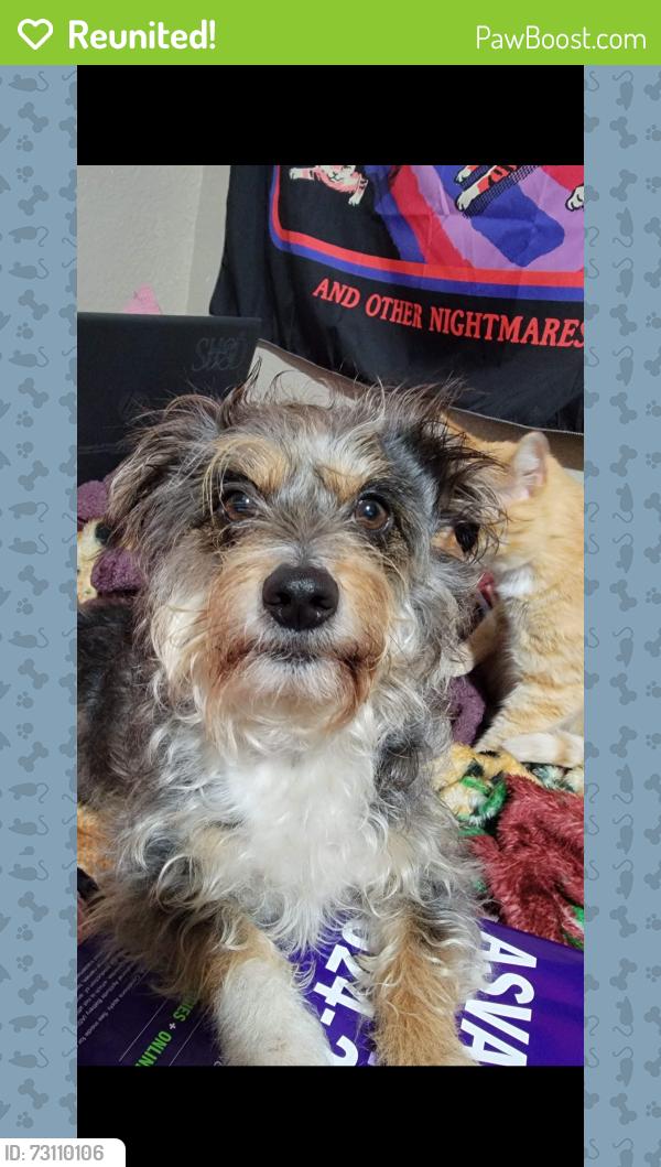 Reunited Male Dog last seen St Joseph’s hosp, Stockton, CA 95205