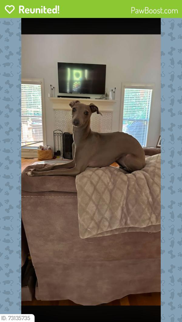 Reunited Female Dog last seen Jefferson St and Second St, Statham, GA 30666