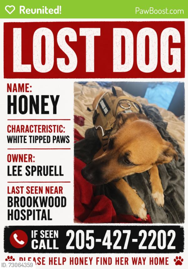 Reunited Female Dog last seen Brookwood hosp, Birmingham, AL 35209