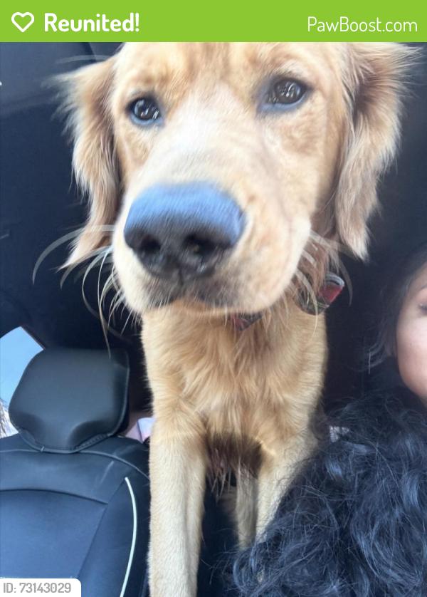 Reunited Male Dog last seen beach st, Fontana, CA 92335