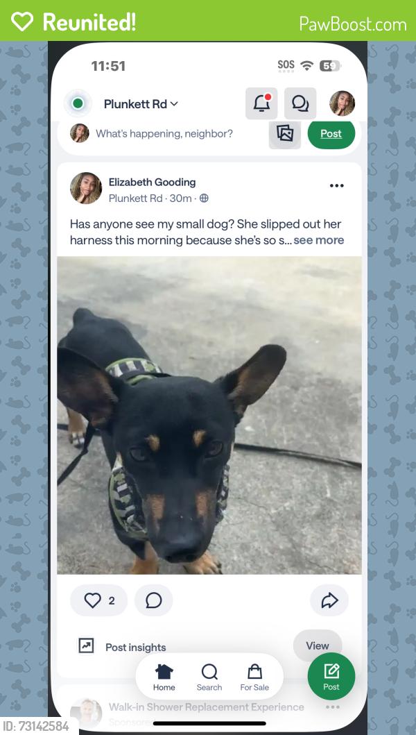 Reunited Female Dog last seen Around the neighborhood Stoney creek lithonia ga, Stonecrest, GA 30038