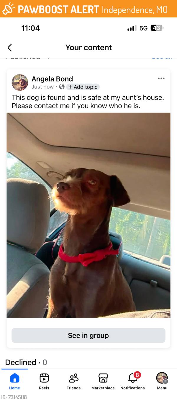 Found/Stray Male Dog last seen Linwood 31st, Independence, MO 64055