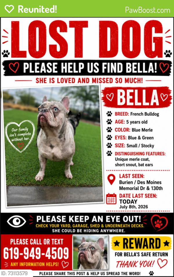 Reunited Female Dog last seen North SeaTac park, Burien, WA 98168