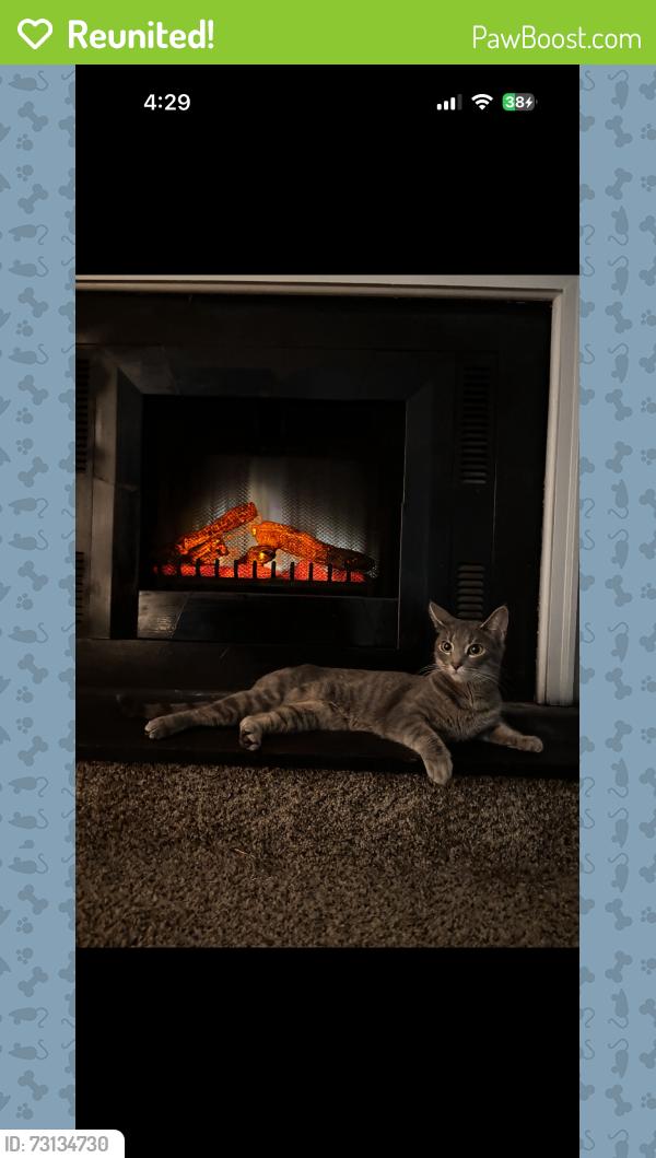 Reunited Female Cat last seen QT on Dunwoody Place, Hightower Trail/Roswell Rd, Sandy Springs, GA 30350