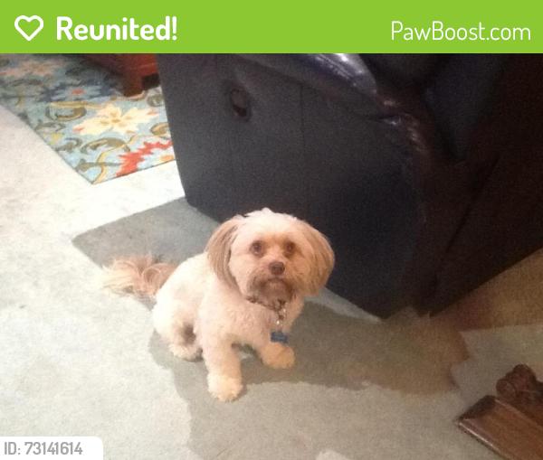 Reunited Male Dog last seen Hendricks Blvd, Fort Smith, AR 72903