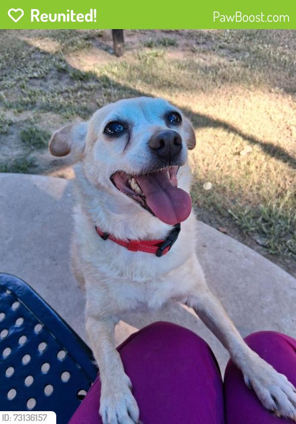 Reunited Female Dog last seen E 82nd Ct and E 82nd place, Tulsa, OK 74137