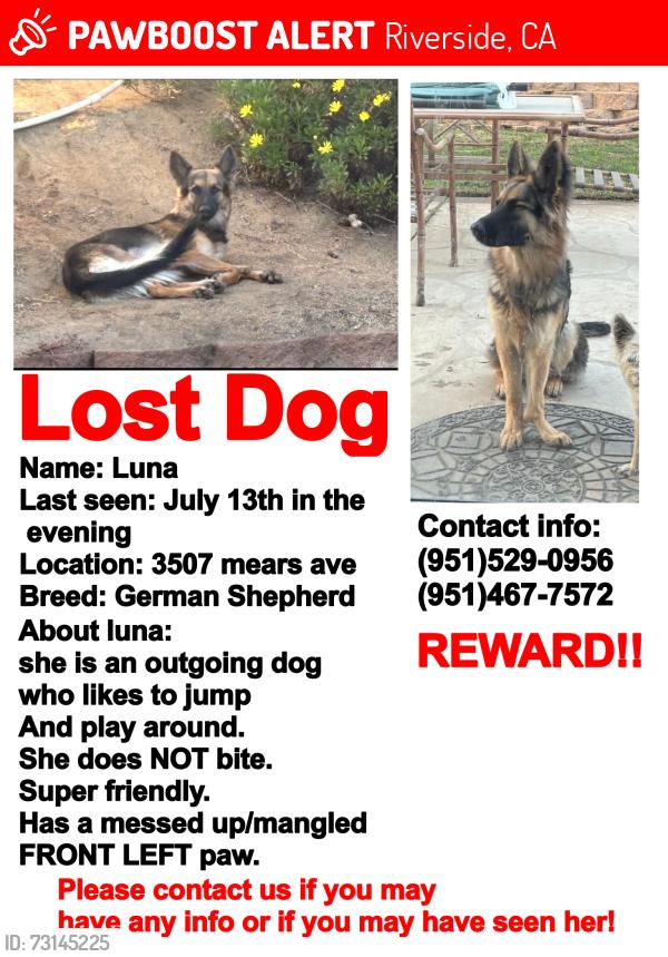 Lost Female Dog last seen 38th st riverside, CA 92509, Riverside, CA 92509