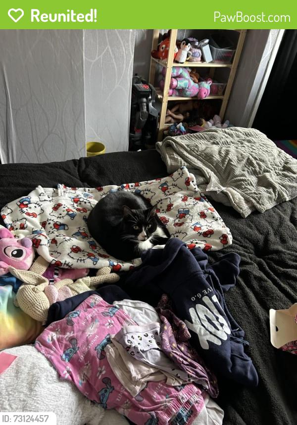 Reunited Male Cat last seen S59DH, Ecclesfield, England S5 9DH