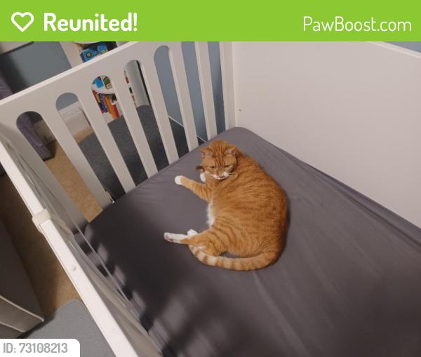 Reunited Female Cat last seen Near san anselmo avr, San Anselmo, CA 94960