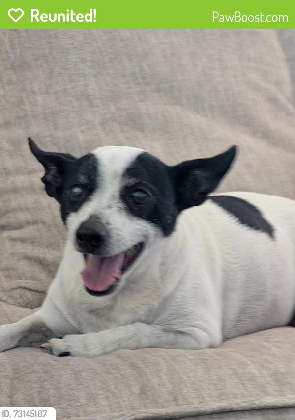 Reunited Female Dog last seen Ruby chip & Blue Brick dr, Tucson, AZ 85743