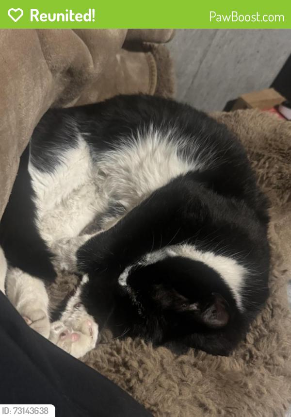 Reunited Male Cat last seen Ida, daycare, Calgary, AB T2K 3R3